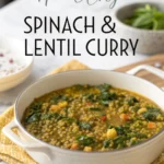 Healthy Spinach & Lentil Curryjl