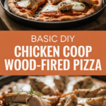Basic DIY chicken coop wood-fired pizza