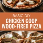 Basic DIY chicken coop wood-fired pizza