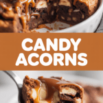 Candy Acorns Candy Acorns