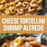 Cheese Tortellini Shrimp Alfredo