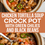 Chicken tortilla soup crock pot with green chilies and black beans