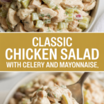 Classic chicken salad with celery and mayonnaise