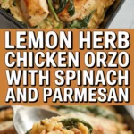 Lemon Herb Chicken Orzo with Spinach and Parmesan