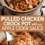 Pulled chicken crock pot with BBQ and apple cider sauce Pulled chicken crock pot with BBQ and apple cider sauce