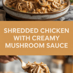 Shredded chicken with creamy mushroom sauce